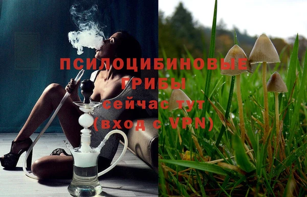 ALPHA-PVP Армянск