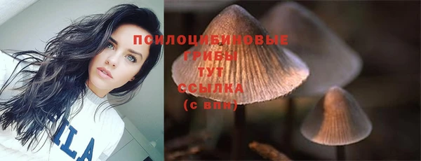 jwh Аркадак