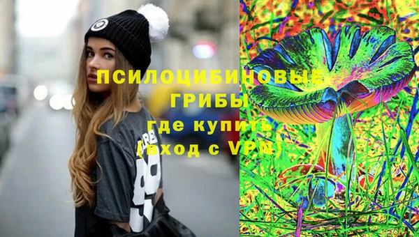 СК Арсеньев