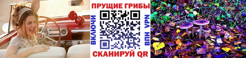 Галлюциногенные грибы мухоморы  Купить где  Болотное 